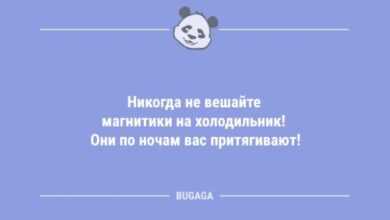 Photo of Анекдоты в начале недели: «Никогда не вешайте магнитики на холодильник!» (10 шт)