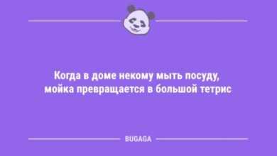 Photo of Анекдоты дня: «Когда в доме некому мыть посуду…» (11 шт)