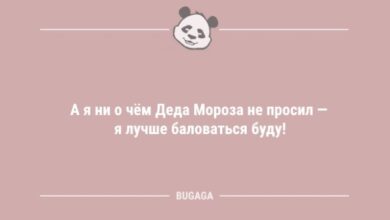 Photo of Пятничные новогодние анекдоты: «А я ни о чём Деда Мороза не просил…» (9 шт)